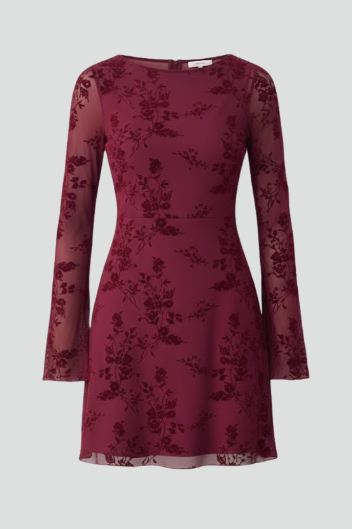 Vivienne Calloway | Floral Mesh Long Sleeve Mini Dress For Women