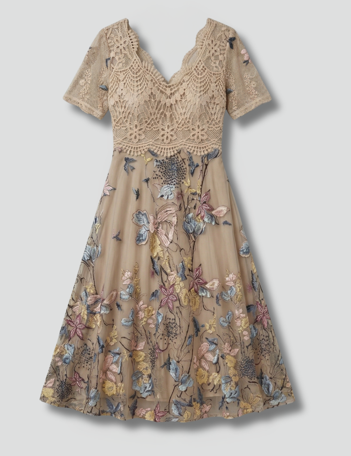 Women_sMidiDresswithLaceDetailandVNeck_1.png